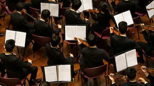 group of person playing violin